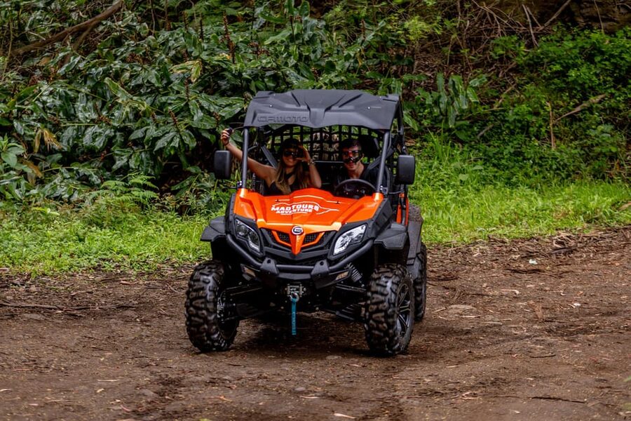 Madeira: Off-Road Buggy Adventure Through Laurissilva Forest - Should you book this Madeira buggy adventure through Laurissilva?