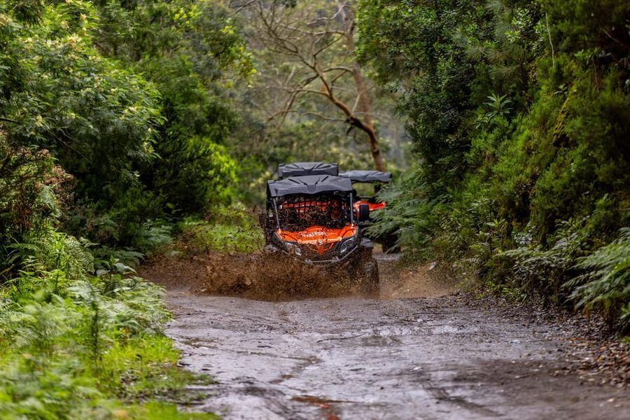 Madeira: Off-Road Buggy Adventure Through Laurissilva Forest - What to bring, what the company provides, and how to avoid a miserable day