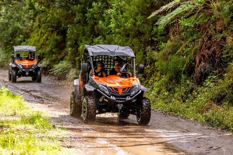 Madeira: Off-Road Buggy Adventure Through Laurissilva Forest - Who this buggy tour suits best in Madeira