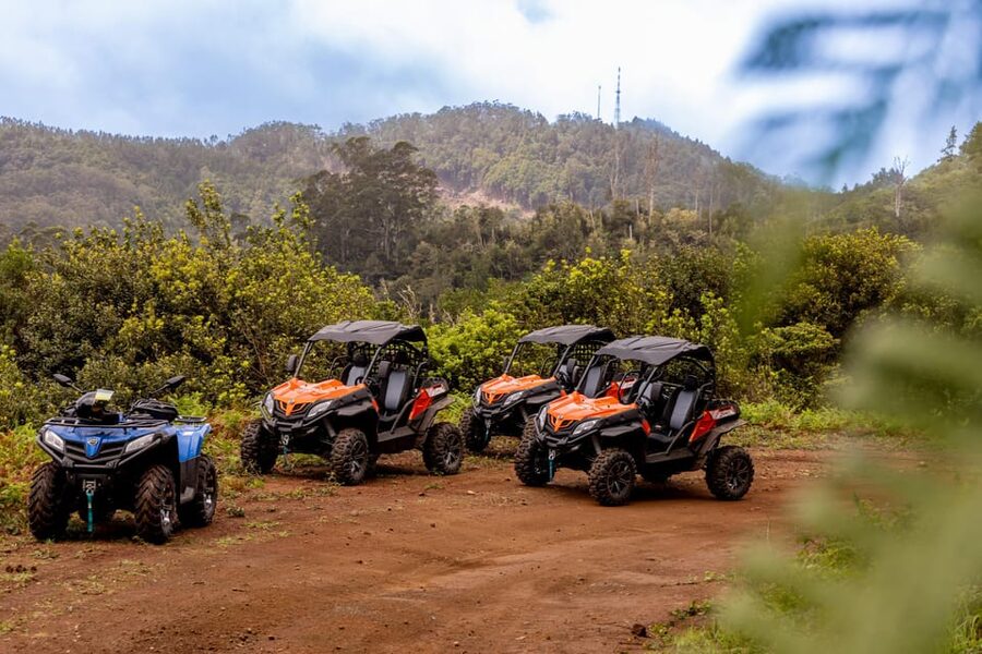 Madeira: Off-Road Buggy Adventure Through Laurissilva Forest - Price and value: is $147 per group worth it?