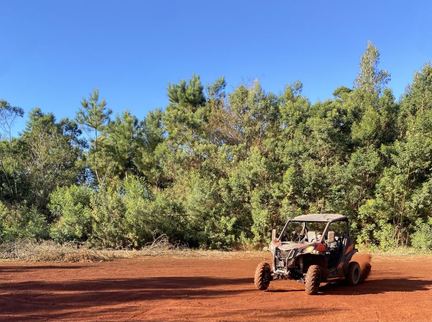Madeira: Off-Road Buggy Driving Experience - Should You Book This Off-Road Buggy Tour of Madeira?