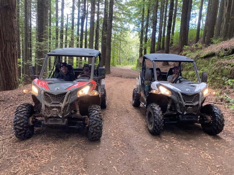 Madeira: Off-Road Buggy Driving Experience - Entering Madeira’s Laurisilva by Double Buggy
