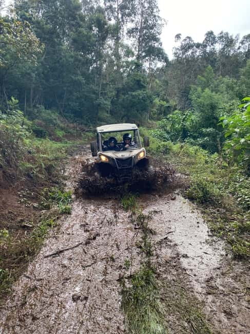 Madeira: Off-Road Buggy Driving Experience - Northern Coast Views and Sea-to-Mountain Changes You Feel Quickly