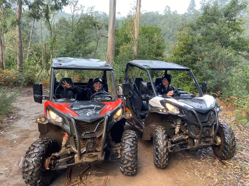 Madeira: Off-Road Buggy Driving Experience - Price and Value: Why $171 Per Group Up to 2 Makes Sense