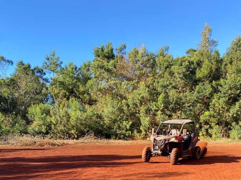 Madeira: Off-Road Buggy Driving Experience - Who This Tour Suits Best (and Who Might Want a Different Plan)