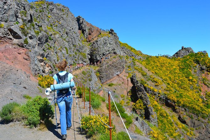 Madeira Peaks - Mountain Walk - Getting from Funchal: pickup that reduces stress, and a day with a real pace
