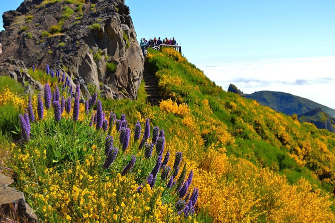 Madeira Peaks - Mountain Walk - How hard is it, really? Moderate walking, strong fitness, and the heights warning
