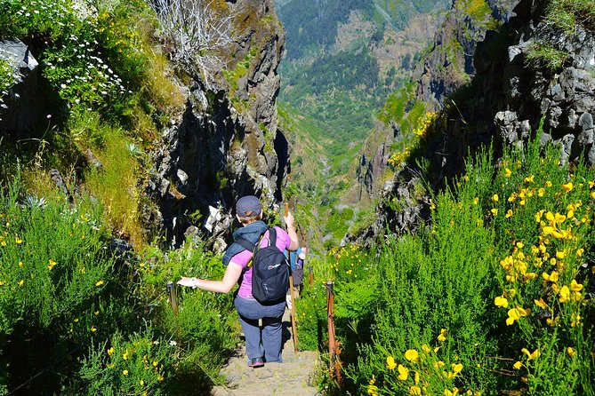 Madeira Peaks - Mountain Walk - What to pack: shoes with grip, warm layers, and enough water for the whole day