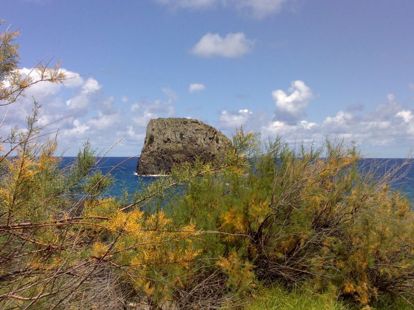 Madeira: Pico do Arieiro & Laurissilva Forest - East tour - Pickup Points and the Real Pace of an 8-Hour Circuit