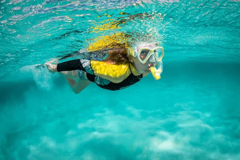 Madeira: Ponta de São Lourenço Snorkeling Boat Trip - Snorkeling setup that actually gets you comfortable