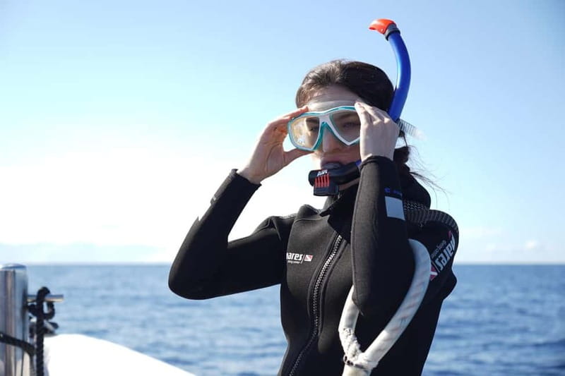 Madeira: Ponta de São Lourenço Snorkeling Boat Trip - Safety, rules, and the animal welfare approach