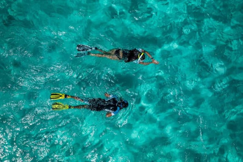 Madeira: Ponta de São Lourenço Snorkeling Boat Trip - Speedboat to Baia dAbra: fast, close to the cliffs, and fun
