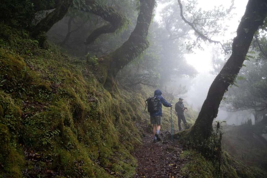 Madeira: PR 9 - Levada do Caldeirão Verde Hike Transfer - PR9 Levada do Caldeirão Verde is the Madeira hike that feels made for a transfer day