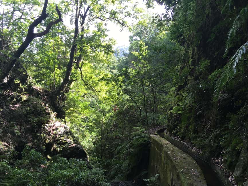 Madeira: PR 9 - Levada do Caldeirão Verde Hike Transfer - What to bring for PR9: plan for wet feet, cold shade, and light for tunnels