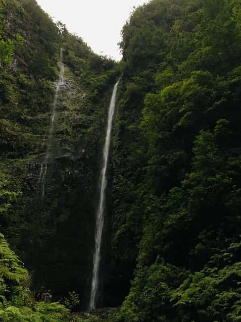 Madeira: PR 9 - Levada do Caldeirão Verde Hike Transfer - Who should book this, and who should skip it