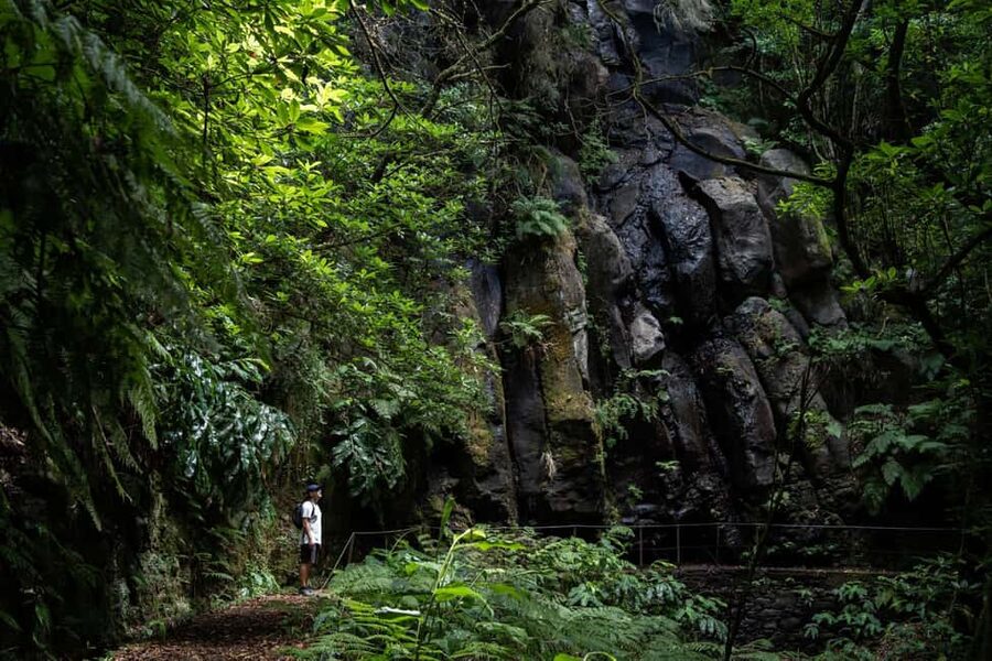 Madeira: PR 9 - Levada do Caldeirão Verde Hike Transfer - Pico das Pedras walk-in: the quiet part that helps you start calm