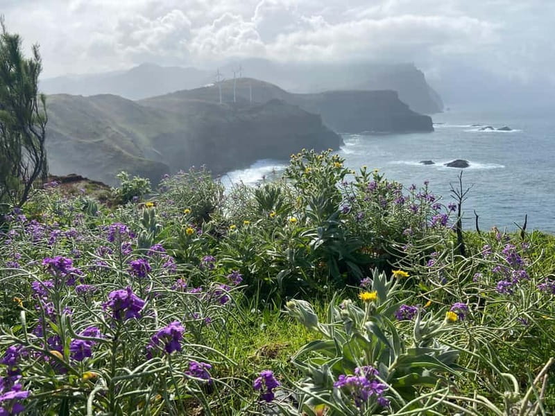 Madeira: PR8 -Ponta de São Lourenço Natural Reserve Transfer - Seabirds, rare plants, and the reserve vibe you can’t fake