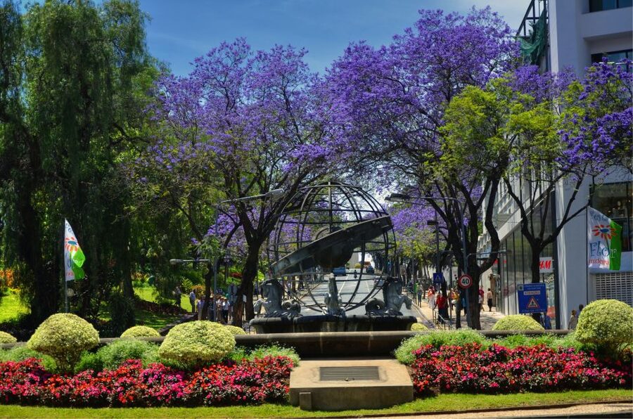 Madeira: Private Funchal City Tour in a Tukxi - Socorro and Villa Guida Viewpoints: Why These Stops Matter More Than You Think