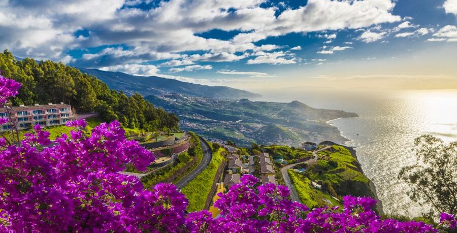 Madeira: Private Guided Cabo Girão Tour - Quick take: what makes this Cabo Girão private tour work