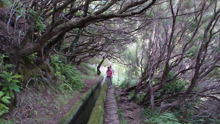 Madeira: Rabaçal 25 Fountains Levada Walk & Cabo Girão - Price and value: what you really get for $67