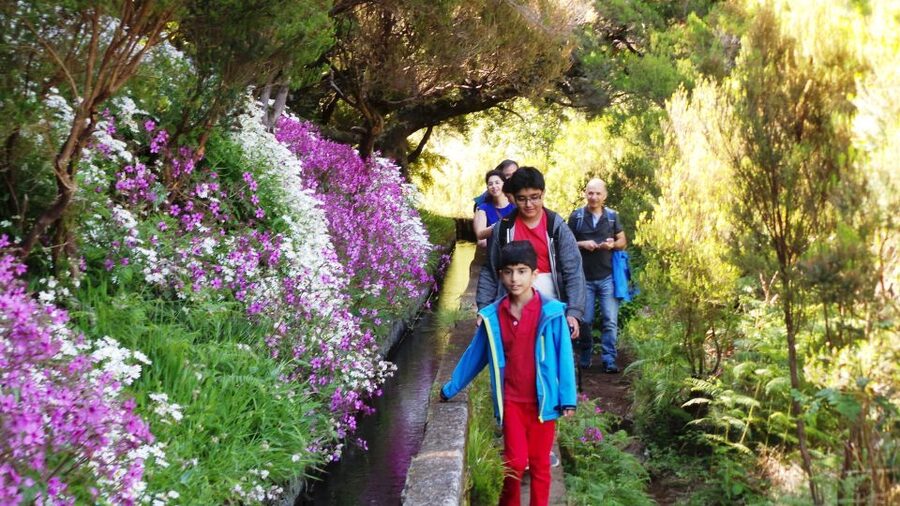 Madeira: Rabaçal 25 Fountains Levada Walk & Cabo Girão - Why this route is a smart mix on Madeira