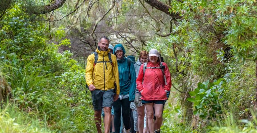 Madeira: Rabaçal 25 Fountains Levada Walk & Cabo Girão - Tunnel time tips: headlamp, footing, and managing knee stress