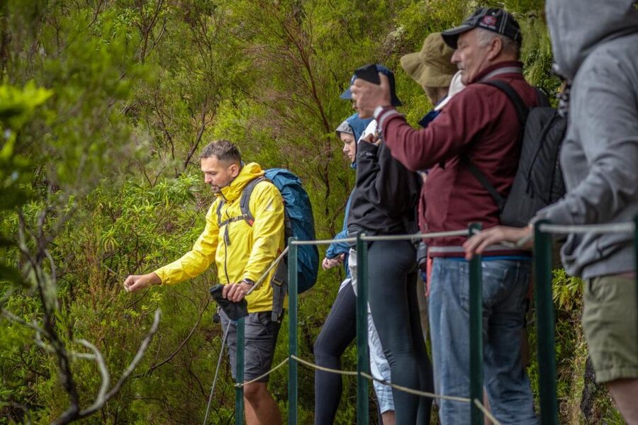 Madeira: Rabaçal 25 Fountains Levada Walk & Cabo Girão - Guides, group size, and why the day feels smoother than you expect