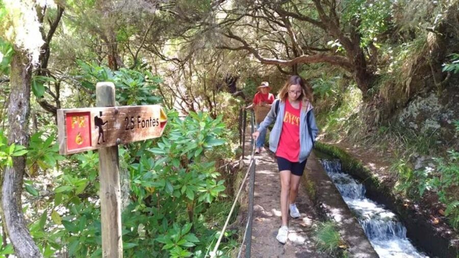 Madeira: Rabaçal, Risco and 25 Fontes Guided Hiking Tour - From pickup to trailhead, how the day actually unfolds