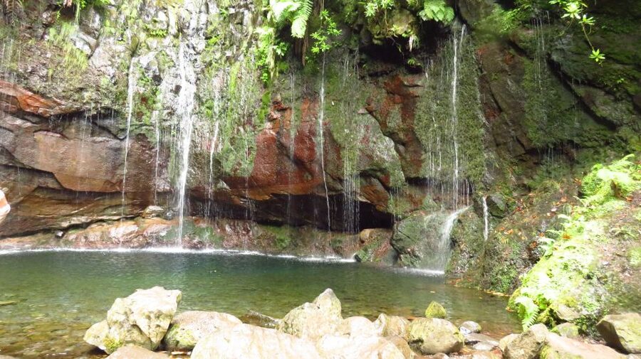 Madeira: Rabaçal, Risco and 25 Fontes Guided Hiking Tour - Switching to Levada Nova do Rabaçal: where the forest starts talking back