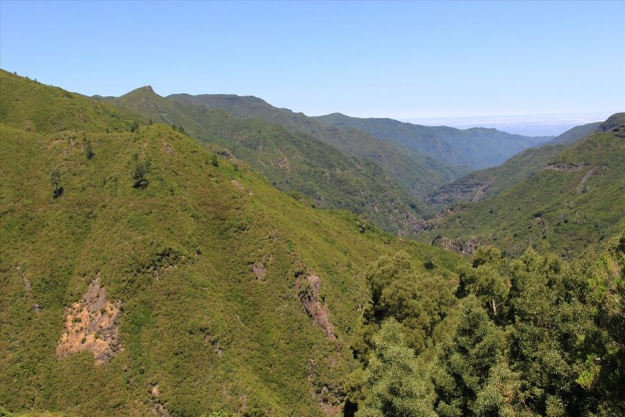Madeira: Rabaçal, Risco and 25 Fontes Guided Hiking Tour - The return by Cavaleiro tunnel: why 800 meters feels like a story chapter