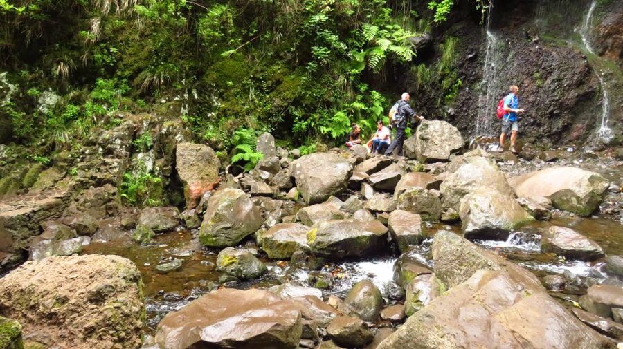 Madeira: Rabaçal, Risco and 25 Fontes Guided Hiking Tour - Price and value: what you’re paying for, and what costs extra