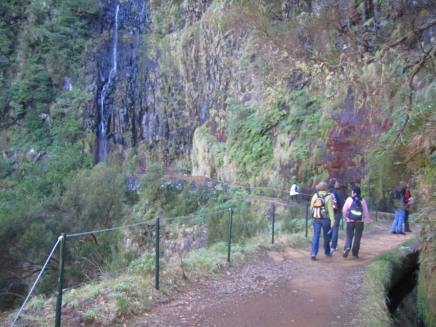 Madeira: Rabaçal, Risco and 25 Fontes Guided Hiking Tour - Who this Madeira hike suits best, and who should skip it
