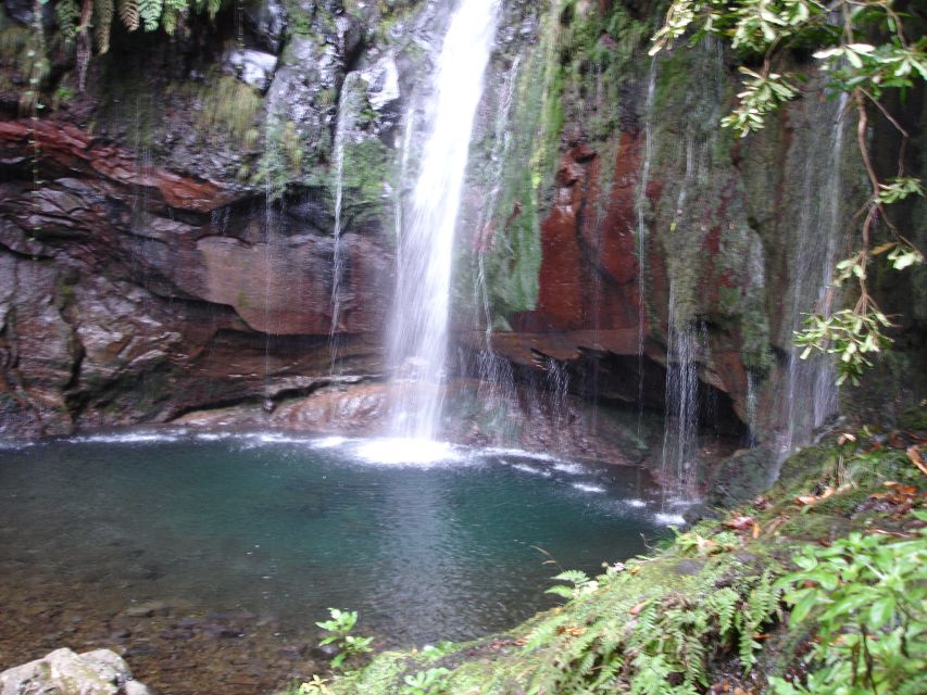 Madeira: Rabaçal Valleys 3-Hour Guided Walk - Key highlights that make this walk worth your time