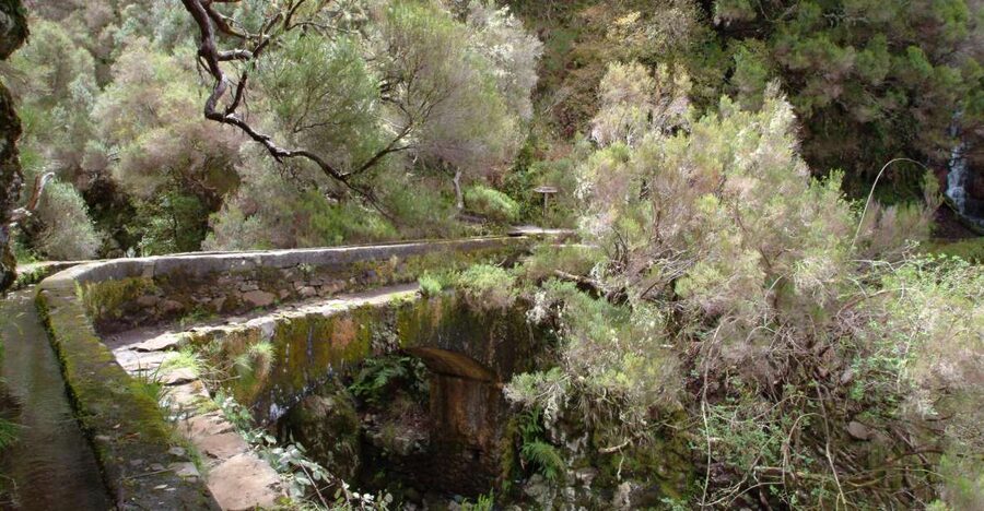 Madeira: Rabaçal Valleys 3-Hour Guided Walk - Entering Madeira’s levada world in Rabaçal
