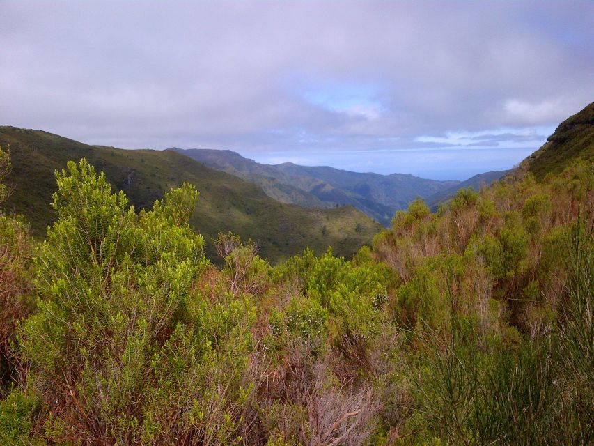 Madeira: Rabaçal Valleys 3-Hour Guided Walk - Following the 10 km of levada trail (and why it feels longer)