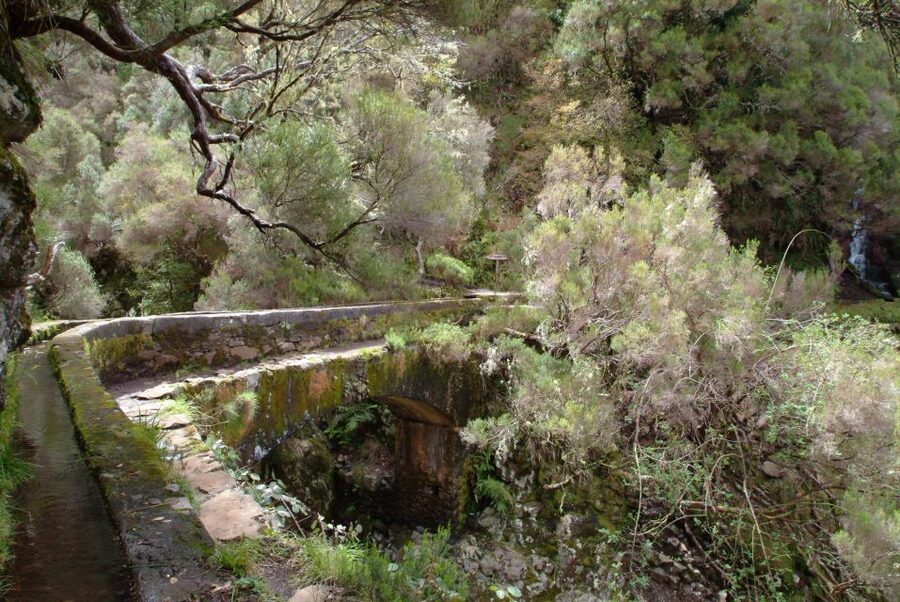 Madeira: Rabaçal Valleys 3-Hour Guided Walk - Waterfalls and springs: where you should slow down for the best moments
