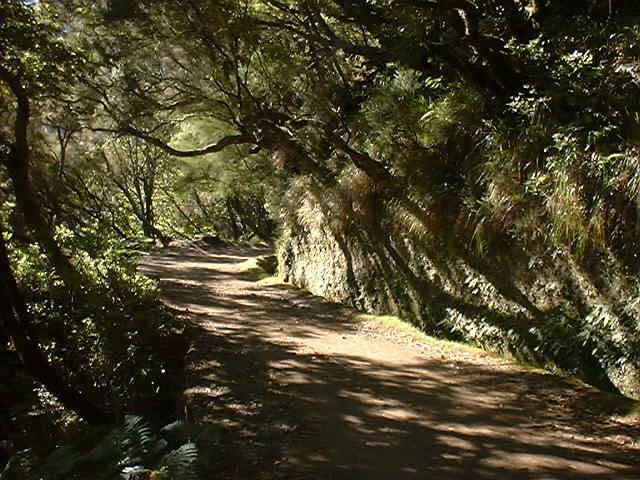 Madeira: Rabaçal Valleys 3-Hour Guided Walk - What’s included, what’s not, and how that affects value