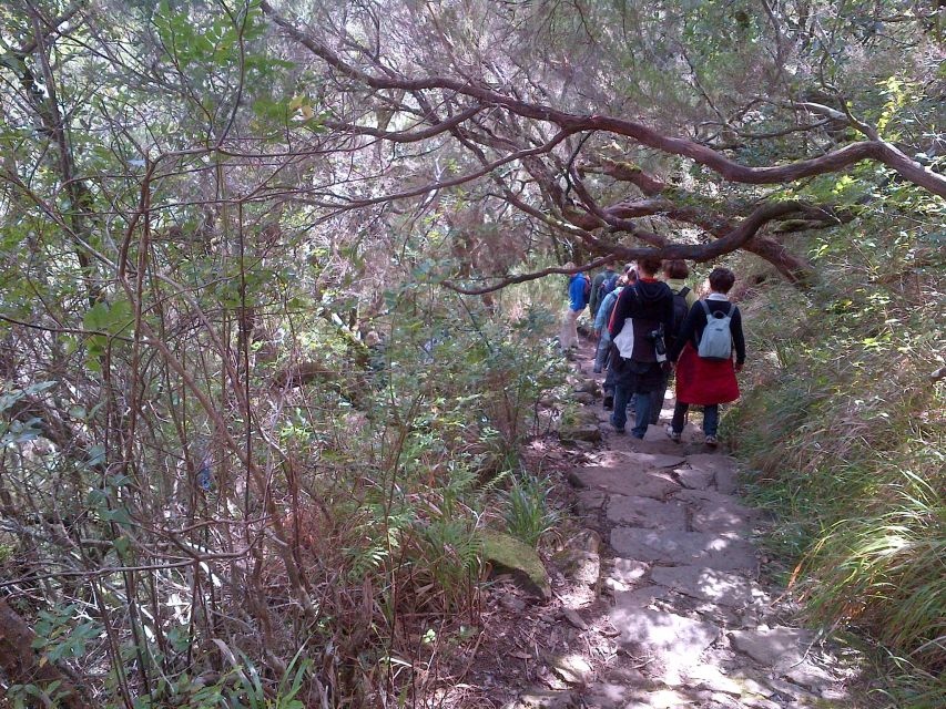 Madeira: Rabaçal Valleys 3-Hour Guided Walk - What to bring for comfort on a moderate forest hike