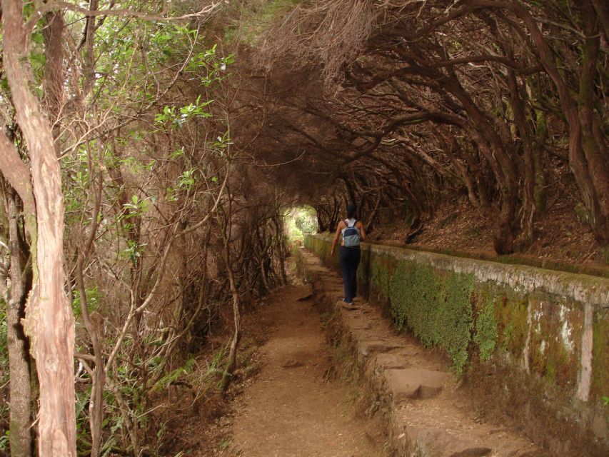 Madeira: Rabaçal Valleys 3-Hour Guided Walk - Price and value: is $48 fair for what you get?