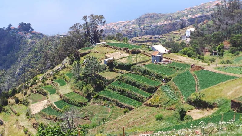 Madeira: Santana Jeep Safari and Balções Levada Walk - Porto da Cruz rum distillery: Madeira’s signature spirit in context