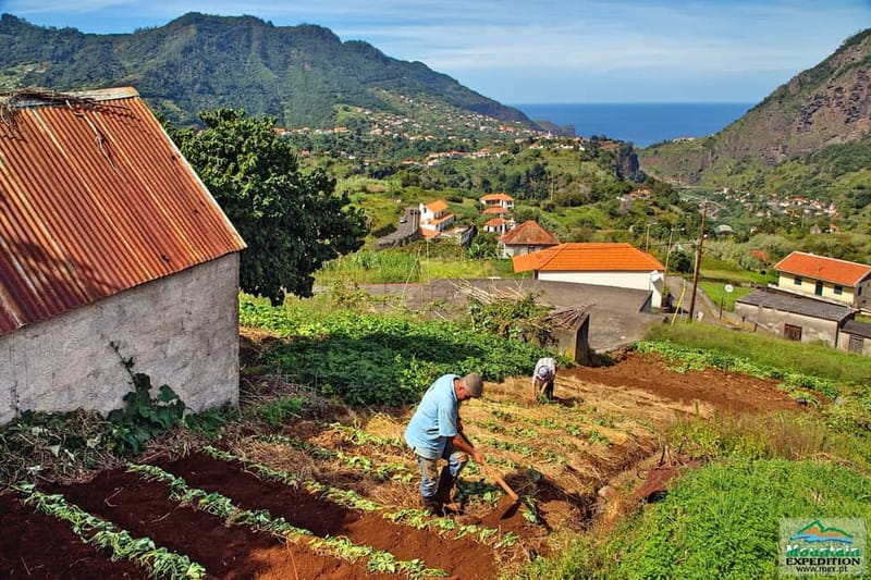 Madeira: Santana Jeep Safari and Balções Levada Walk - Ponta de São Lourenço, the Dragon’s Tail: cliffs and both coasts