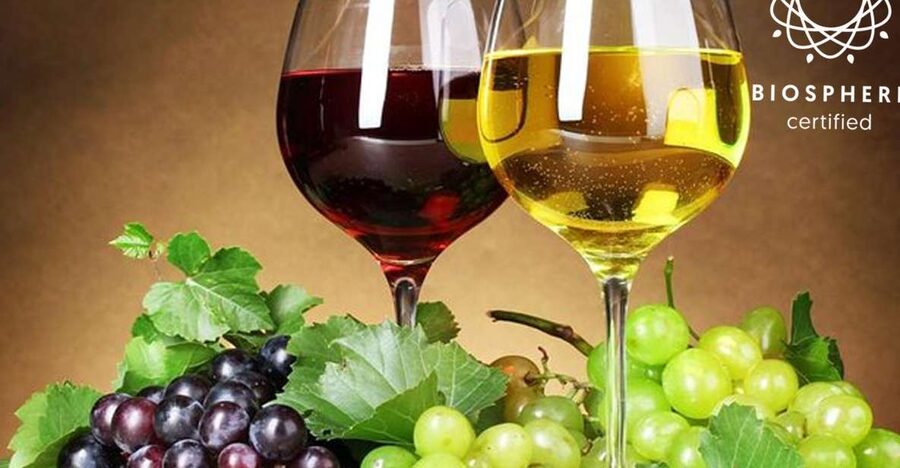 Madeira: Signature Wine Tasting, Skywalk & Nature Expedition - Museu do Mel (Mel da Laurissilva) Honey Museum Stop