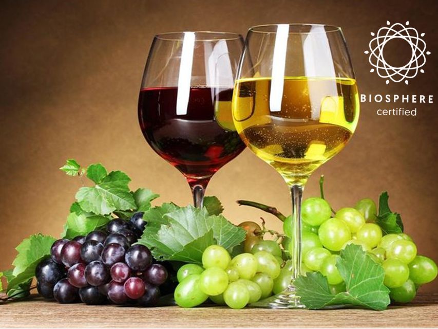 Madeira: Signature Wine Tasting, Skywalk & Nature Expedition - Quinta do Barbusano Winery: Madeira Wine Culture and First Tastings