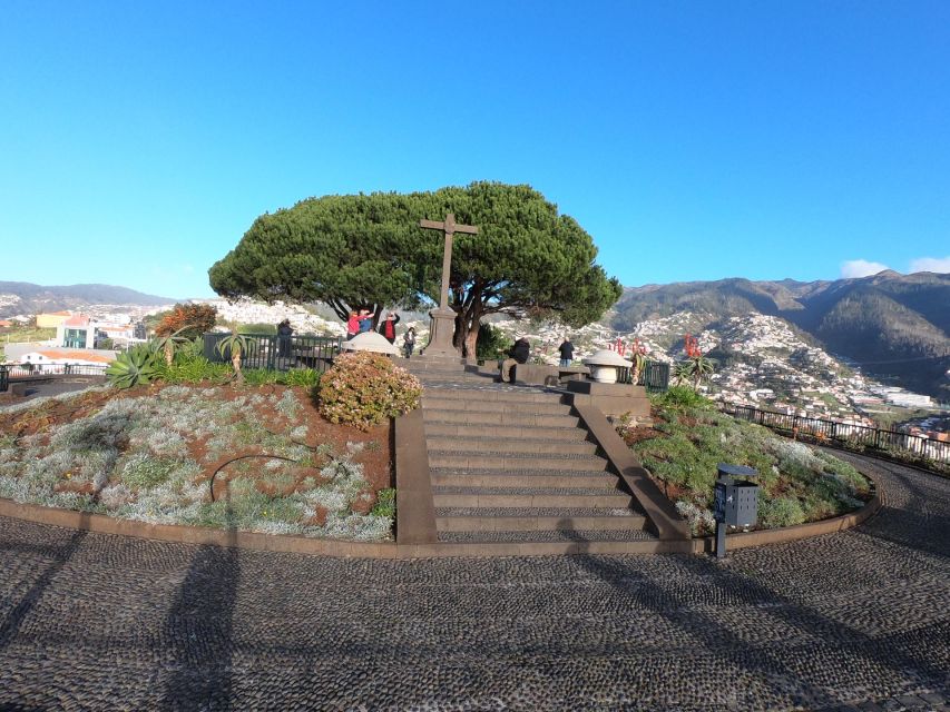 Madeira: Signature Wine Tasting, Skywalk & Nature Expedition - Henriques & Henriques Madeira Wine Lodge: Sweet and Dry Styles by Age
