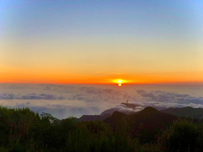 Madeira: Sunrise at Pico do Arieiro & Hike Larano trail - The driver as your secret weapon
