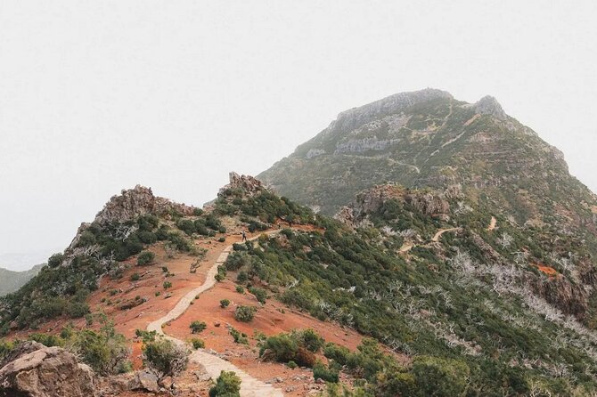 Madeira: Sunrise at Pico do Arieiro & Hike Larano trail - Price and value: what you get for $45