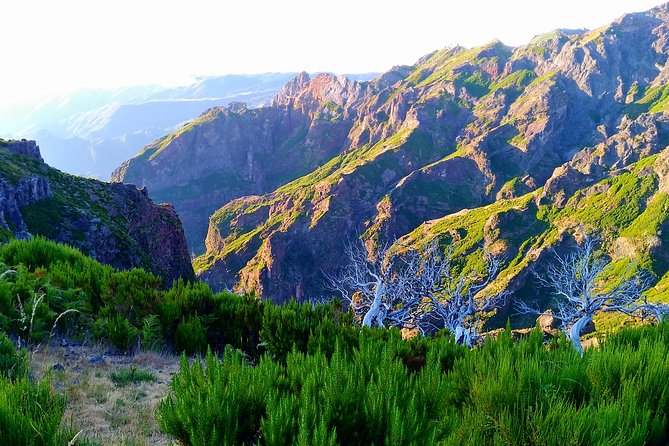 Madeira Top Sunrise - The torchlit climb toward Ruivo Peak
