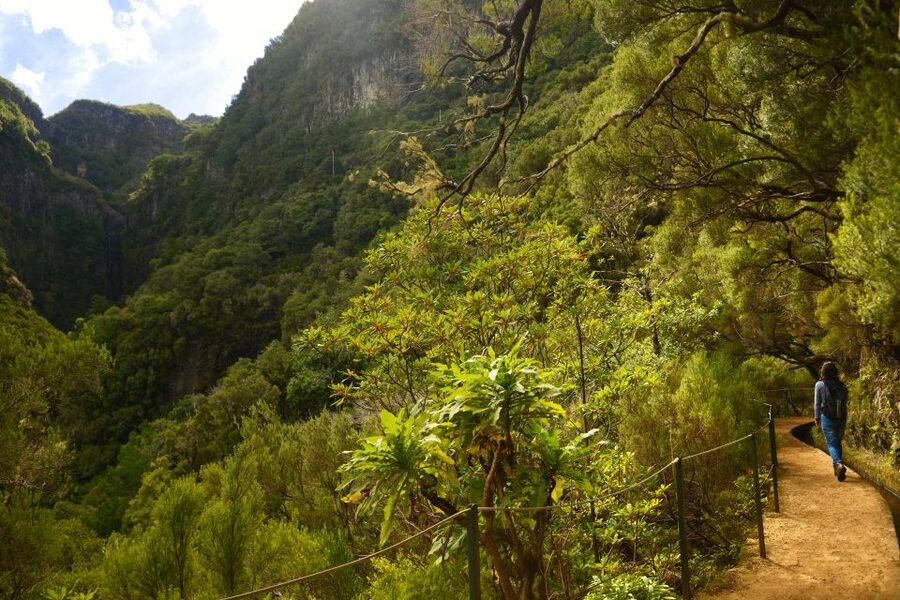 Madeira Walks - Rabaçal and the 25 Fountains - Getting to Rabaçal the easy way, by air-conditioned bus