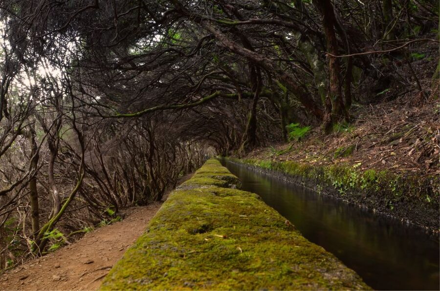 Madeira Walks - Rabaçal and the 25 Fountains - The 25 fountains: what the highlight looks like on the trail