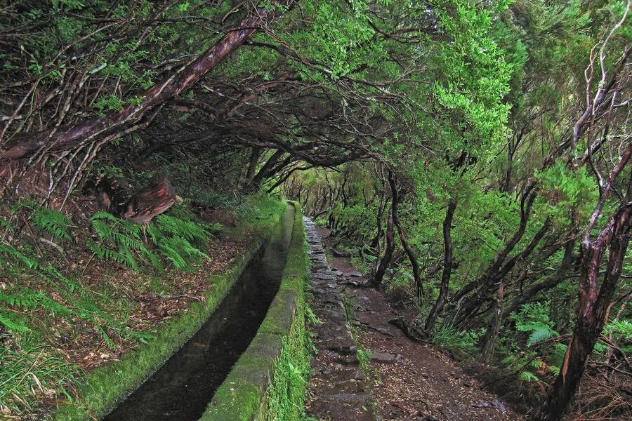 Madeira Walks - Rabaçal and the 25 Fountains - The short café stops and the lunch reality